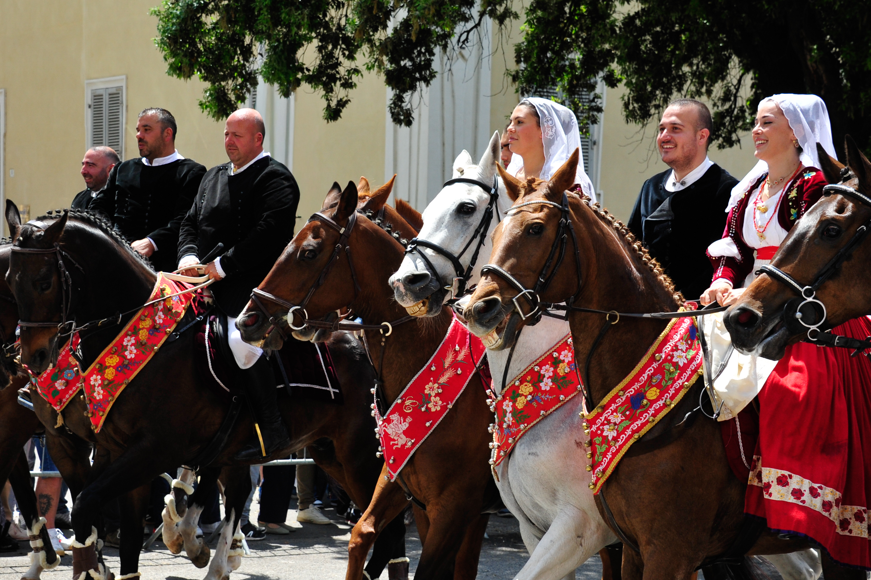Horses in
                Parade
