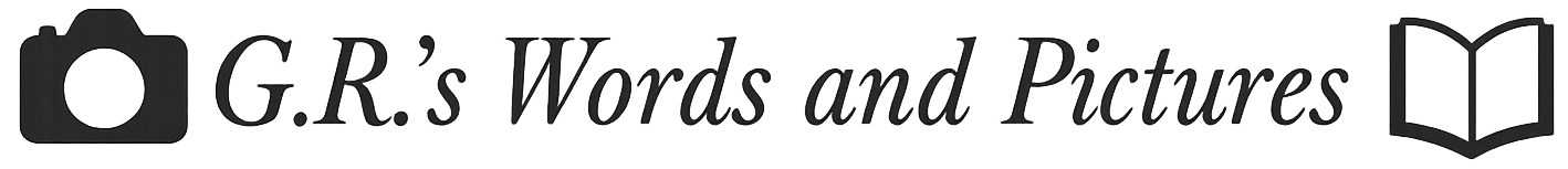 website logo banner with camera and book